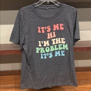 Swiftie Gray Graphic Tee with Colorful Text